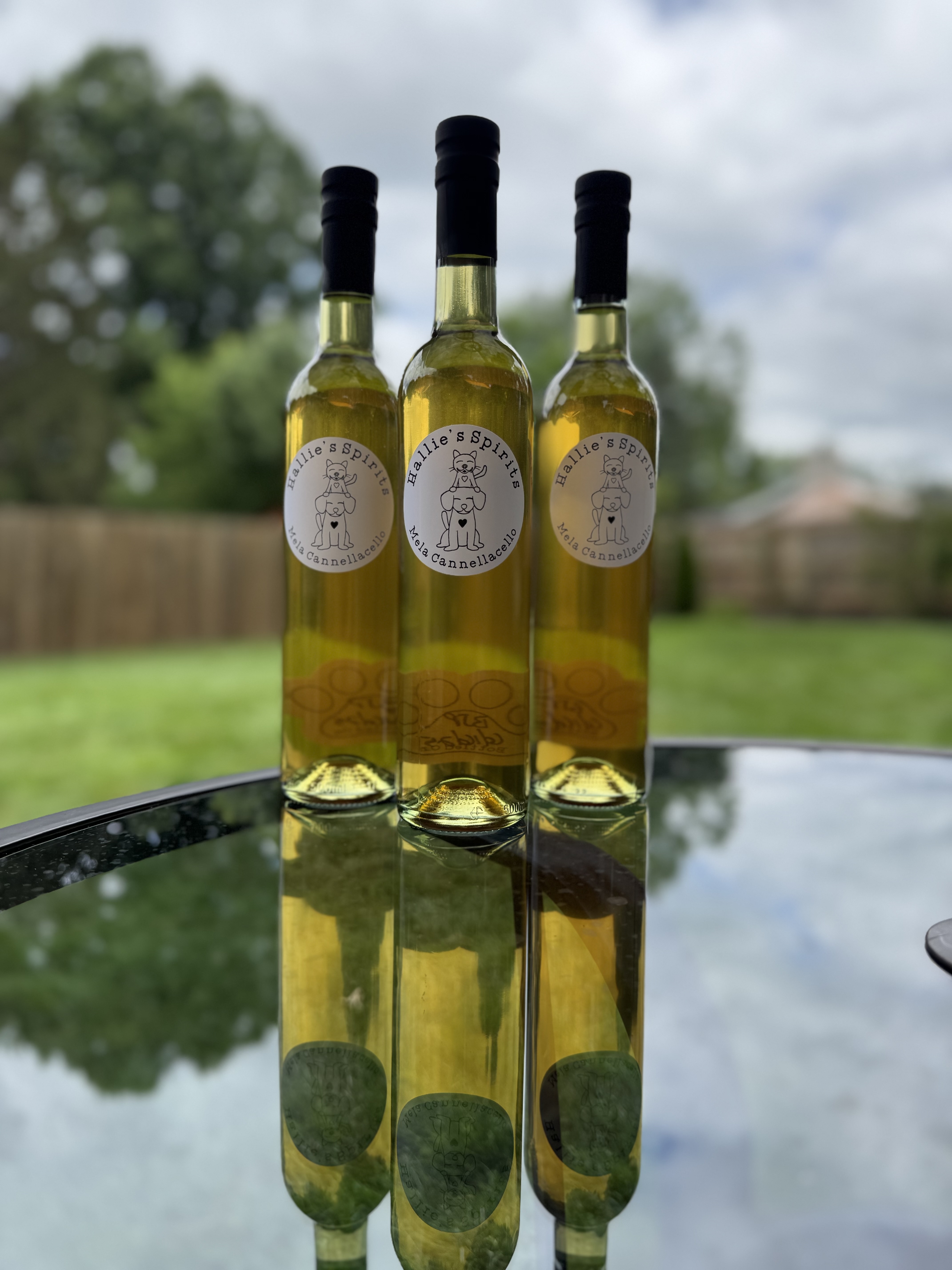 Seasonal Infusion Mela Cannellacello